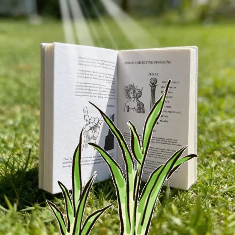 Book of Wisdom Volume II Harry B Joseph Revival of Wisdom English Paperback Spiritual Philosophy Book Philosophy Books